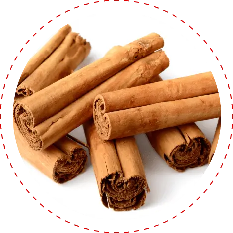Ceylon cinnamon sticks